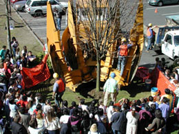 Photo of community tree planting