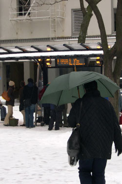 Photo of riders at stop during snow storm