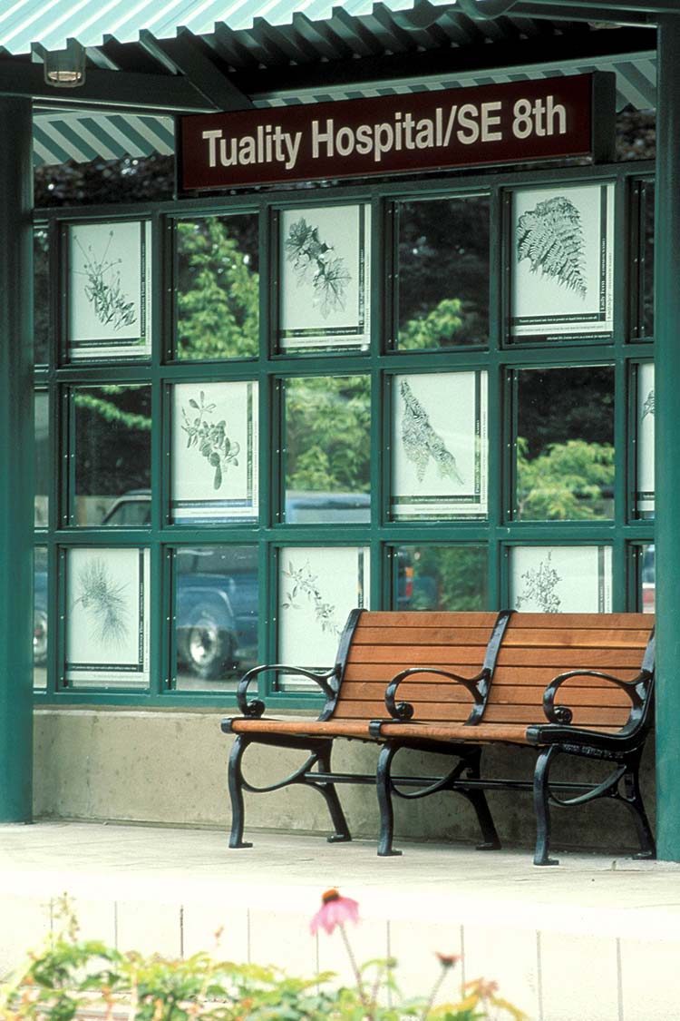 Quilt of Traditional Remedies etched glass floral pattern on bus shelter
